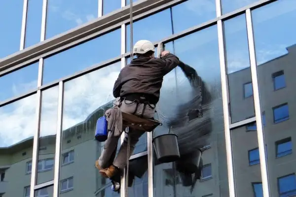 What do professional window cleaners use in their solution?